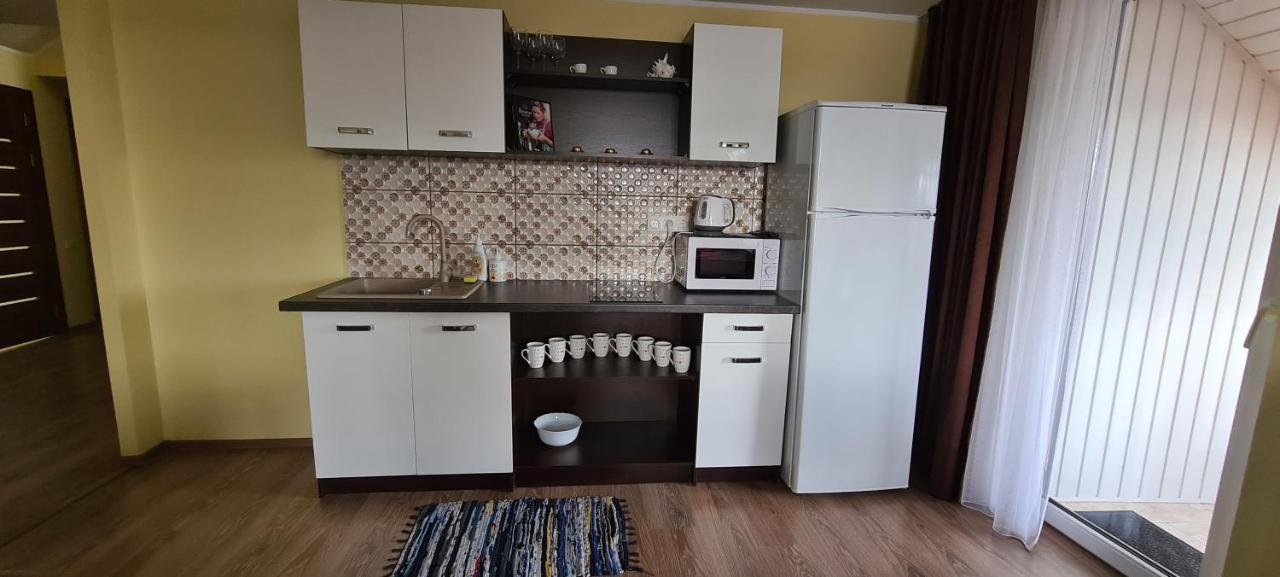 Sauliaus Apartamentai Vip Panevėžys Zewnętrze zdjęcie